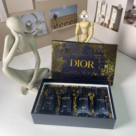 Dior Gold Box Wilderness Medium Set-3448 de 4 pièces
