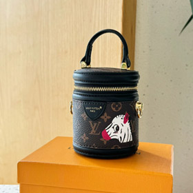 Louis Vuitton LV Mini Fortune seau Crossbody sac-4069