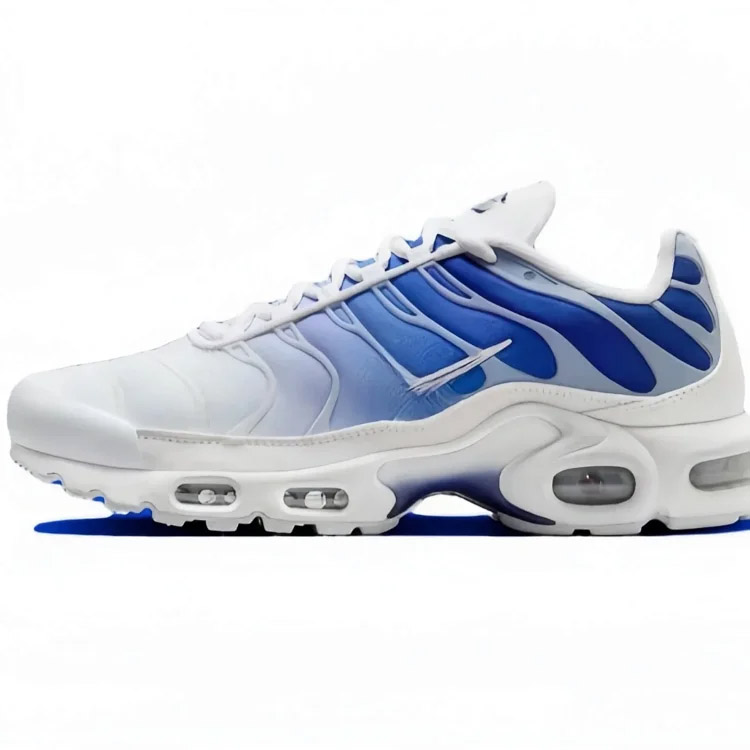 Nike Air Max Plus Classic Comfort chaussures coussinées à air bas-2869